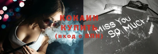 гидра Богородицк
