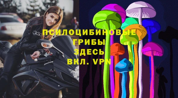 герыч Бородино